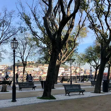 5lisbon Private Bedroom With A View Pensión